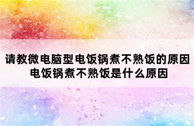 请教微电脑型电饭锅煮不熟饭的原因 电饭锅煮不熟饭是什么原因